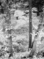 Enlarge photo 27