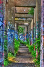 Enlarge photo 18