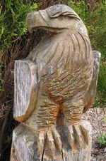 Enlarge photo 47