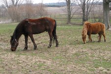 Enlarge photo 44
