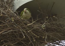 Enlarge photo 19