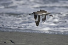 Enlarge photo 30