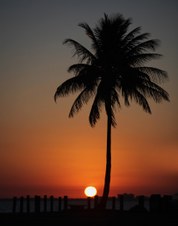 Enlarge photo 38