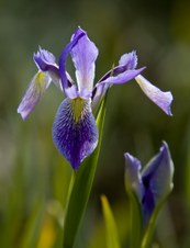 Enlarge photo 24