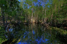 Enlarge photo 72