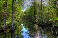 Enlarge photo 71