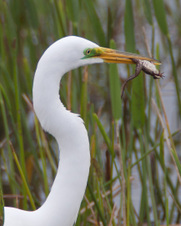 Public Gallery Photo Of the Day -- Florida 2012