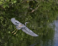 Enlarge photo 34