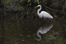 Enlarge photo 27