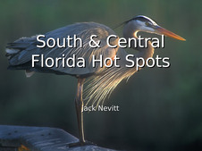 Florida Hot Spots
