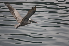 Enlarge photo 27