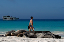 Enlarge photo 15