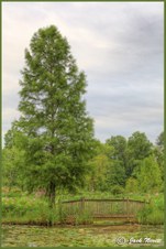 Enlarge photo 18