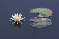 Enlarge photo 3