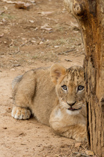 Enlarge photo 15