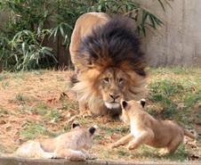Enlarge photo 7