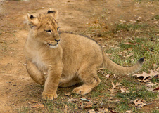 Enlarge photo 13