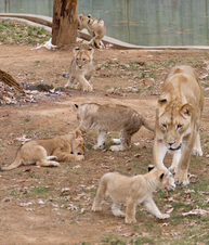 Enlarge photo 9