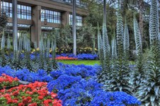 Longwood Gardens March 16th