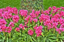 Enlarge photo 5