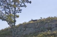 Enlarge photo 23