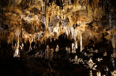 Enlarge photo 10