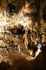 Enlarge photo 11