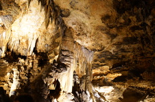 Enlarge photo 14