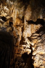 Enlarge photo 15