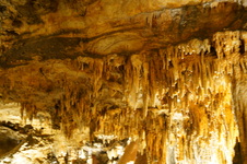 Enlarge photo 18