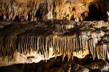Enlarge photo 21