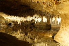 Enlarge photo 24