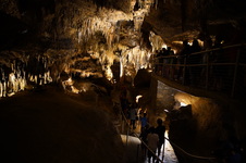 Enlarge photo 35
