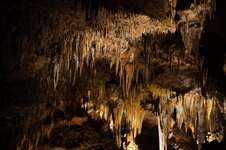 Enlarge photo 36