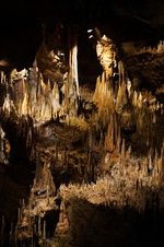Enlarge photo 37