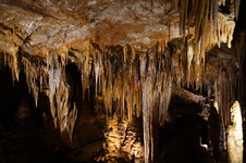 Enlarge photo 38