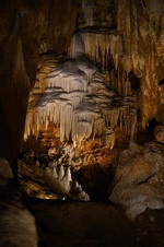 Enlarge photo 42