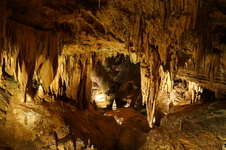 Enlarge photo 46