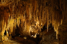 Enlarge photo 48