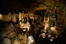 Enlarge photo 49
