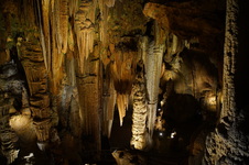 Enlarge photo 50