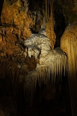 Enlarge photo 53