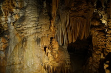 Enlarge photo 55
