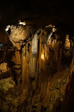 Enlarge photo 56