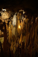 Enlarge photo 58