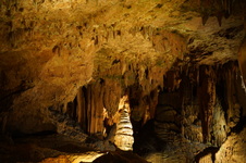 Enlarge photo 60