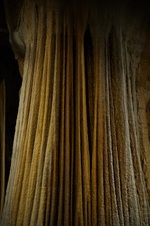 Enlarge photo 62
