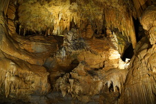 Enlarge photo 63