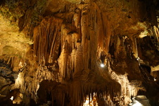 Enlarge photo 64