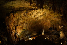 Enlarge photo 65